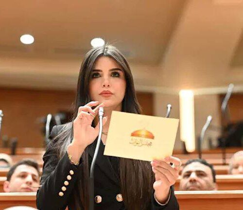 وکیل زیبای پارلمان مصر
