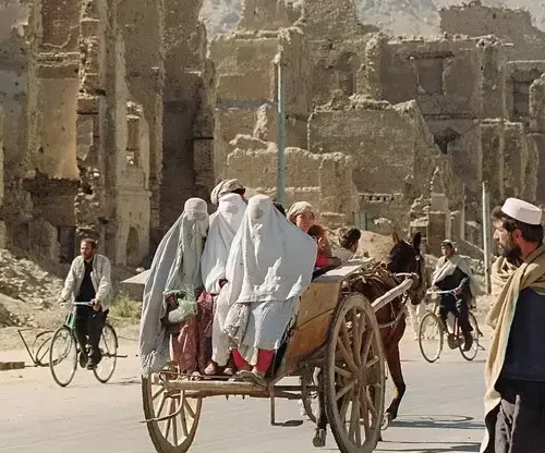 ملتِ بدبخت