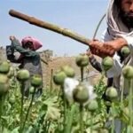 - پایگاه خبری تحلیلی روایت