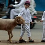 - پایگاه خبری تحلیلی روایت