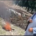 - پایگاه خبری تحلیلی روایت