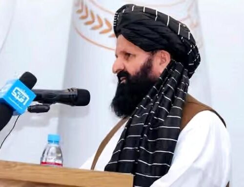 ملی دانستن زبان فارسی بیشتر از آن مسخره است که…
