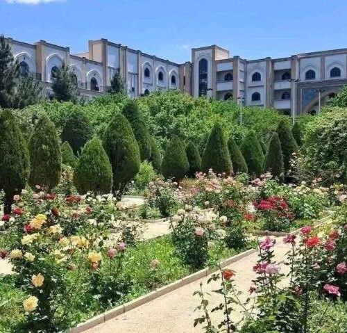 از خاطرات سفر معنوی به عربستان تا بسته‌شدن خاتم‌النبیین؛ آیا ریاض دوباره در افغانستان فعال شده است؟
